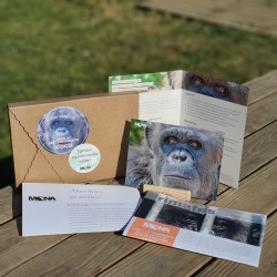 3 months chimp adoption gift