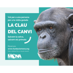 Gift card for a guided tour "The key for change: Save the rainforests, save the primates"