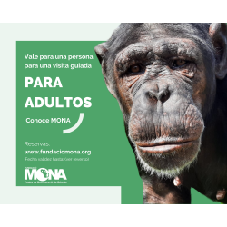 Gift card for a guided tour for adults: Meet MONA