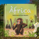 Africa. A tale about a chimpanzee.